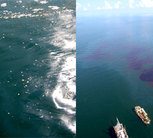 A surface water sheen from a biological source (left) may appear as an oil sheen. Oil sheens tend to be rainbow-colored in hue.  