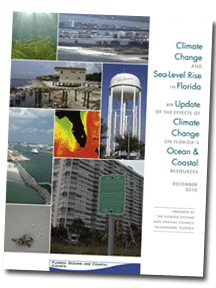 climate change and sea-level rise in florida book cover