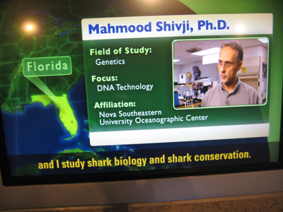 Sea Grant's shark DNA research is featured in the Smithsonian.