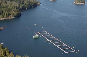 Salmon farm in British Columbia