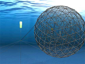 New design for submersible fish cage
