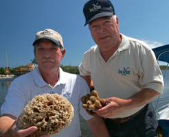 Sweat, working with sponge research colleague John Stevely (left), helped change how sponges are harvested commercially.