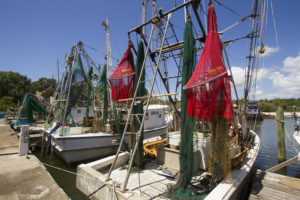 Commercial fishing boats, docked, with red and green nets.