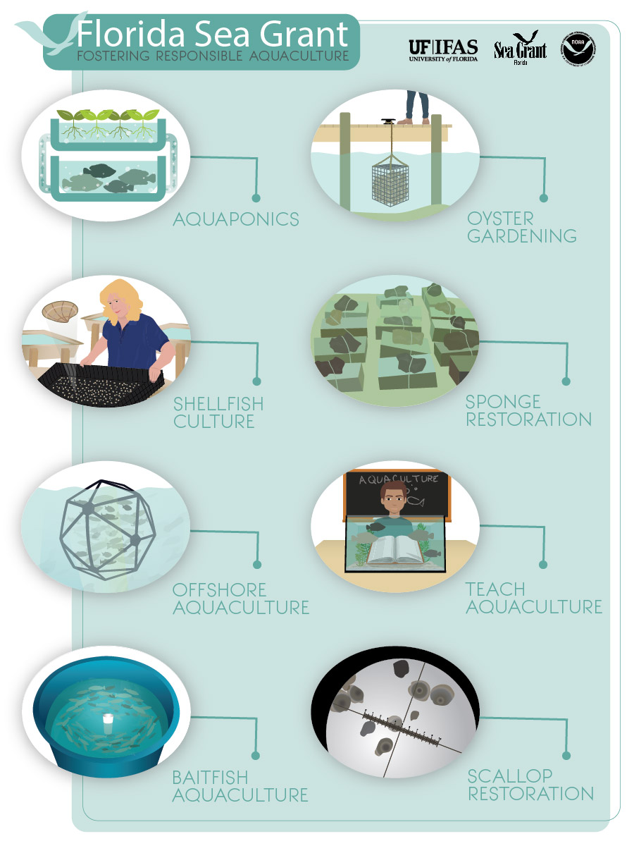 aquaculture infographic