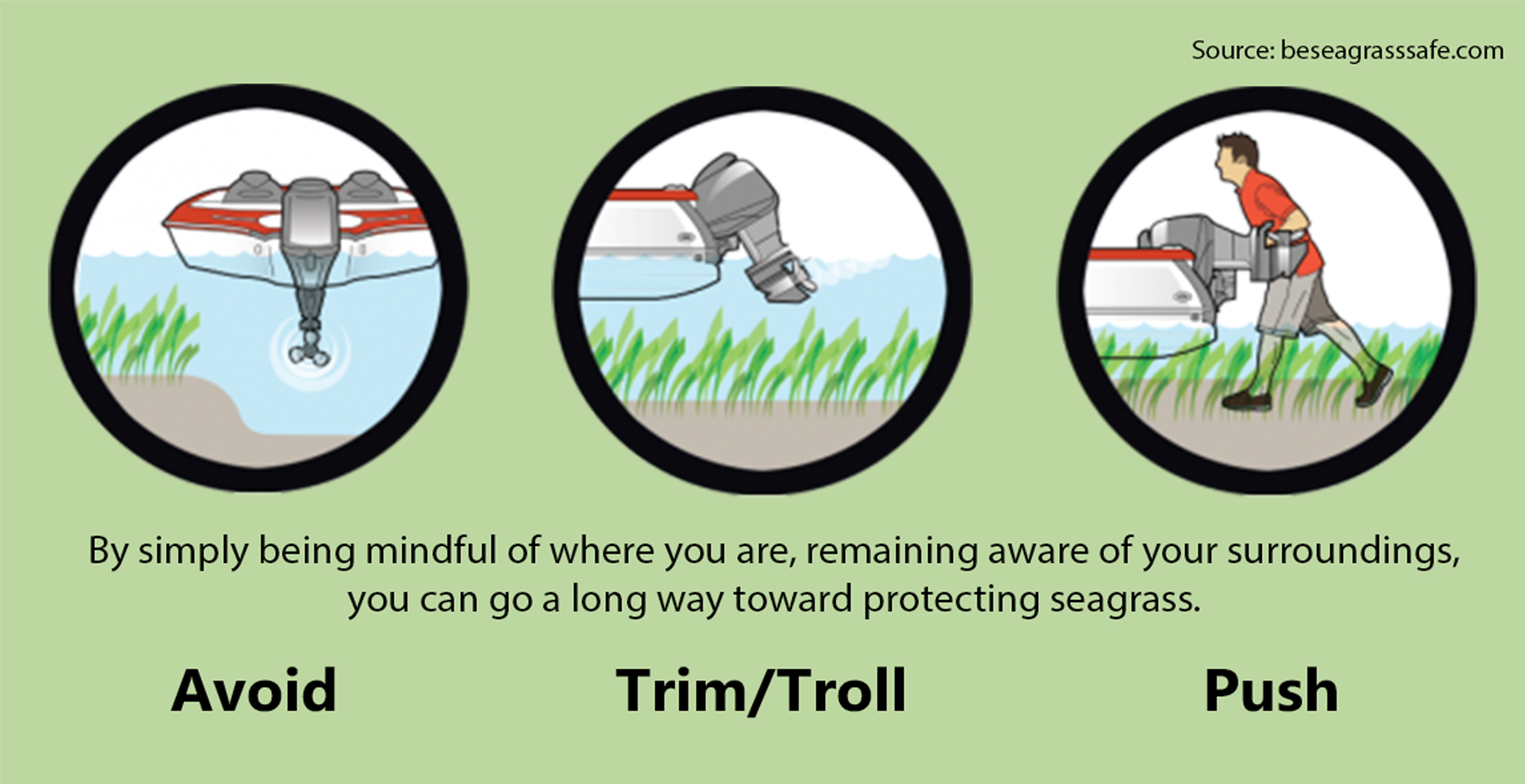 Be seagrass safe