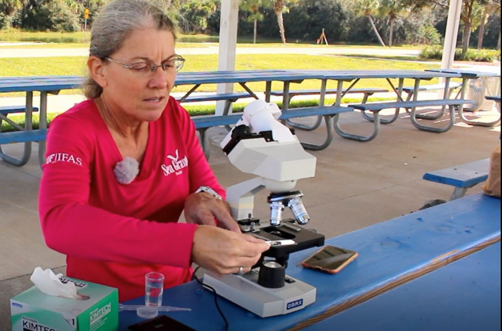 betty staugler uses habscope to help forecast red tide events