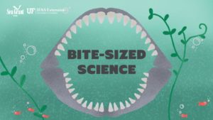 Drawing of a shark's jaw and teeth around the words "Bite-sized Science"