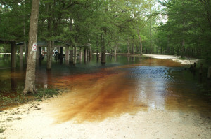 A flooded dirt road is seen in the area of the Santa Fe River in this file photo. A new link on the Florida Sea Grant website gives information to help you understand flood insurance, why it’s important, whether you’re required to have it and how to get it.