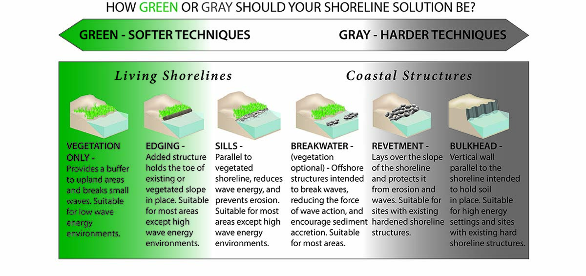 living shorelines how green or gray should your solution be