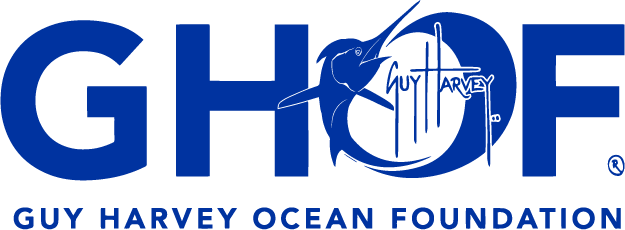 blue guy harvey logo