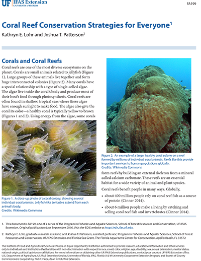 coral reef conservation strategies for everyone
