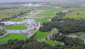 To reduce the amount ofcontaminants entering Lake Okeechobee, managers work with private land owners to store excess stormwater, reducing pollutants that eventually enter the coastal estuaries. Photo courtesy S. Fla. Water Mgt. District.