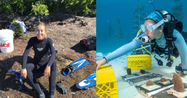 collage of interns working in the marine biology field