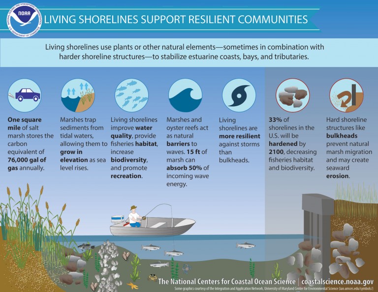 NOAA Living Shorelines