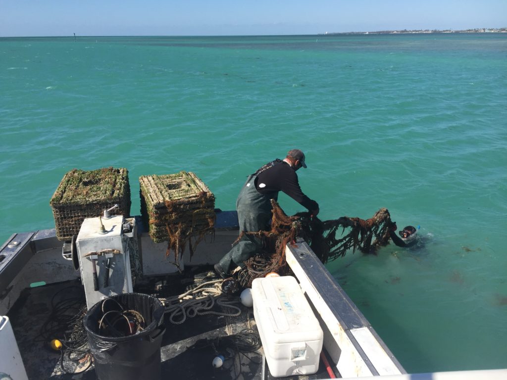 lobstermen collecting derelict traps in florida keys post hurricane irma