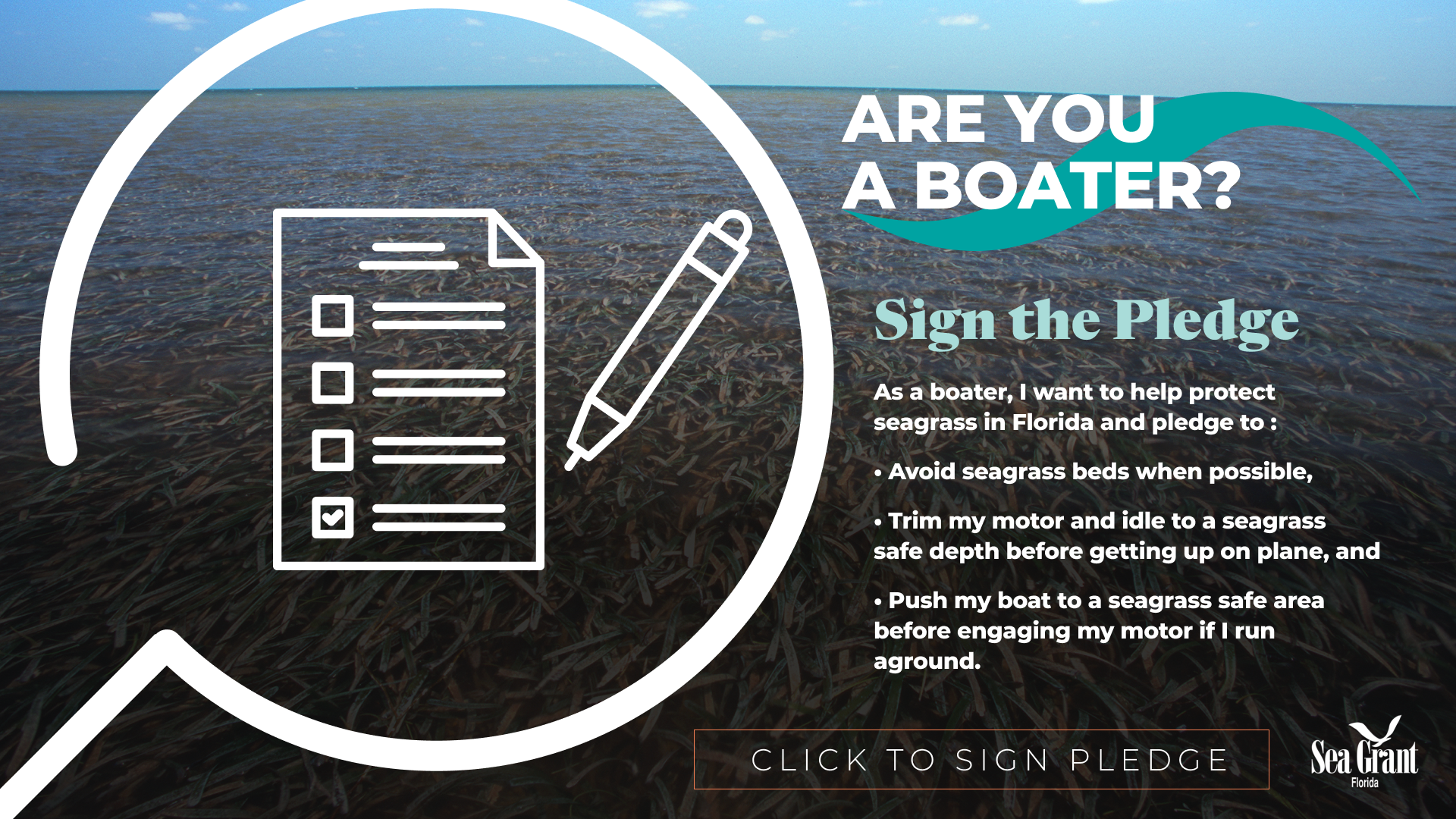 be seagrass safe pledge