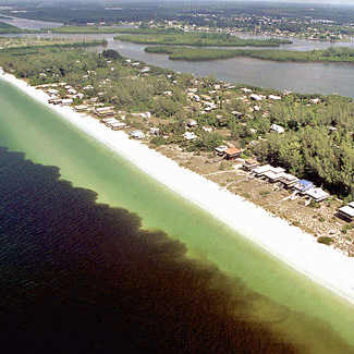 red tide along the coast