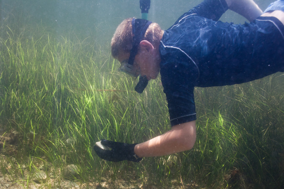 scalloper finds scallop