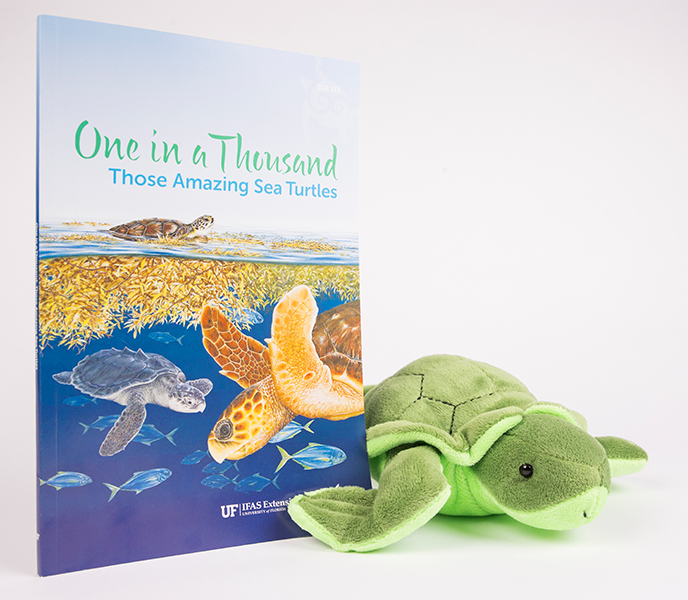 one in a thousand: those amazing sea turtles