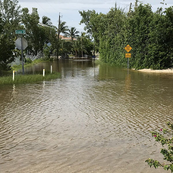 Flooding in 2019 at a Twin Lakes Subdivision in Key Largo